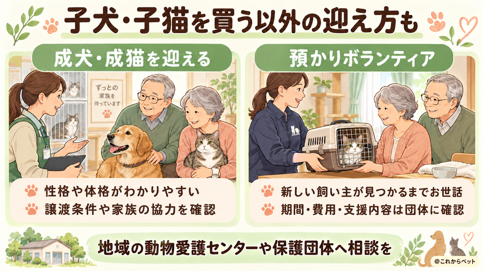 成犬・成猫の譲渡と預かりボランティアという迎え方